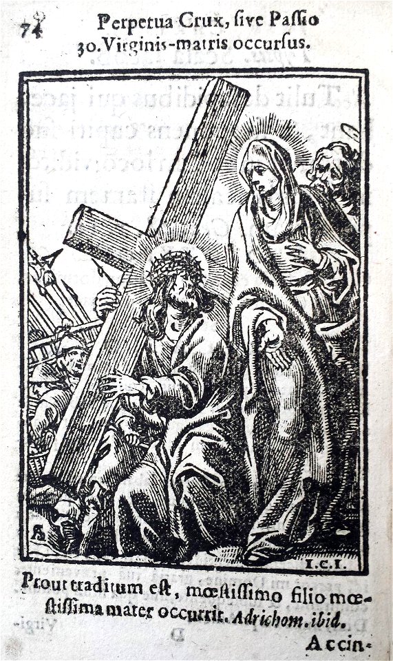 Print, book (BM 1848,0304.206-245 03)