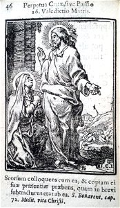 Print, book (BM 1848,0304.206-245 35)