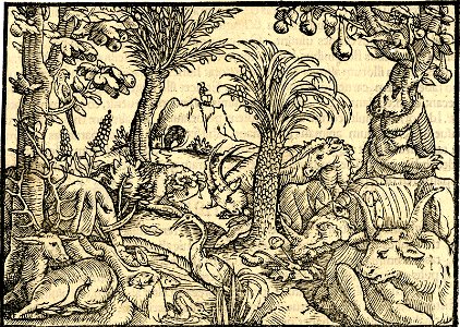 Print, book-illustration (BM 1982,U.2364)