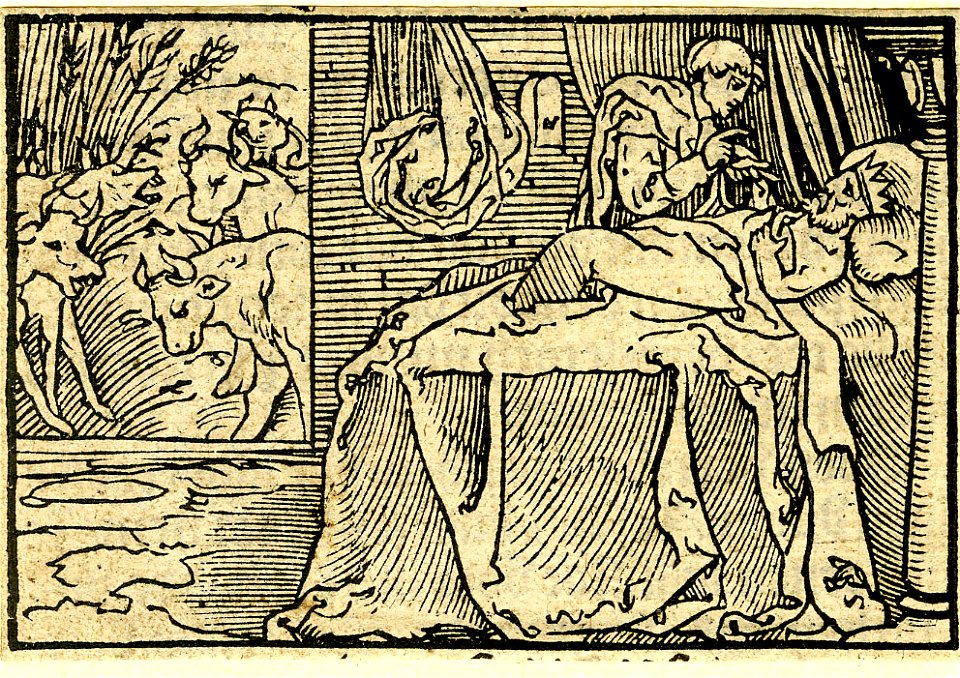 Print, book-illustration (BM 1923,1112.24)