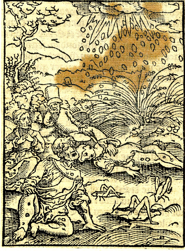 Print, book-illustration (BM 1923,1112.27)