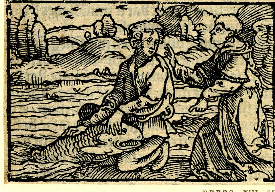 Print, book-illustration (BM 1923,1112.62)
