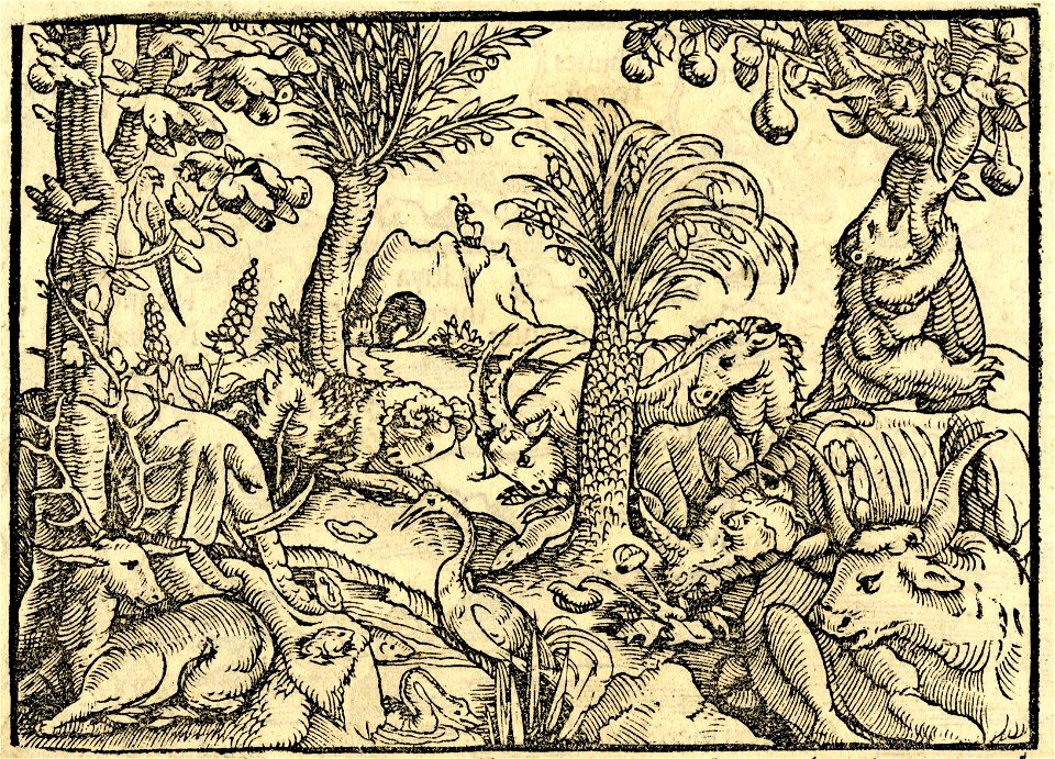 Print, book-illustration, map (BM 1982,U.2463 1)