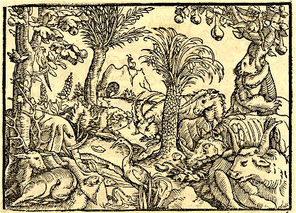 Print, book-illustration, map (BM 1982,U.2463 1)