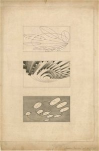 Print, bookplate, trade-card (BM 1912,1011.12-207 135)