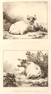 Print, drawing book (BM 1932,0311.29)