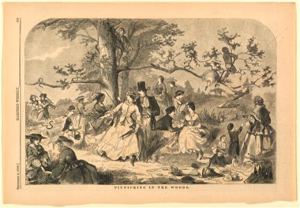 Print, Picnicking in the woods, Harper's Weekly, September 1858 (CH 18606369)
