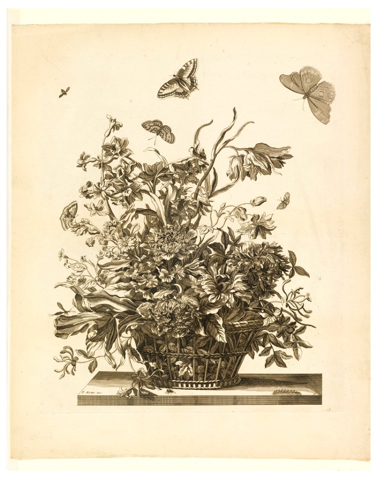 Print, Plate 10, from set of Flowers in a Basket, ca. 1680 (CH 18352803)
