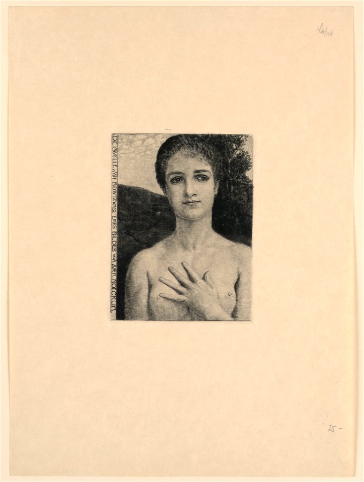 Print, Woman, ca. 1890 (CH 18386319)