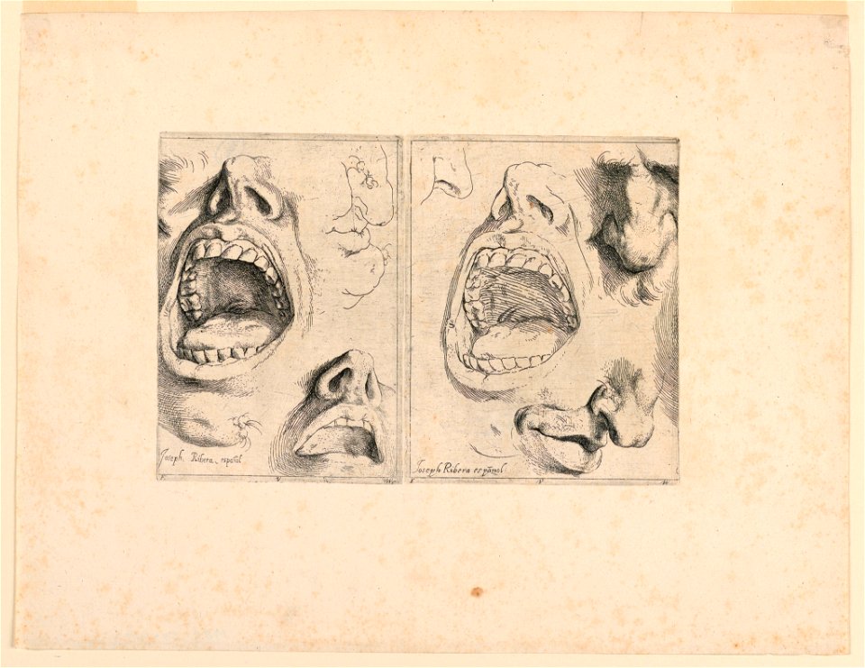 Print, Studies of features, 1622 (CH 18348743)