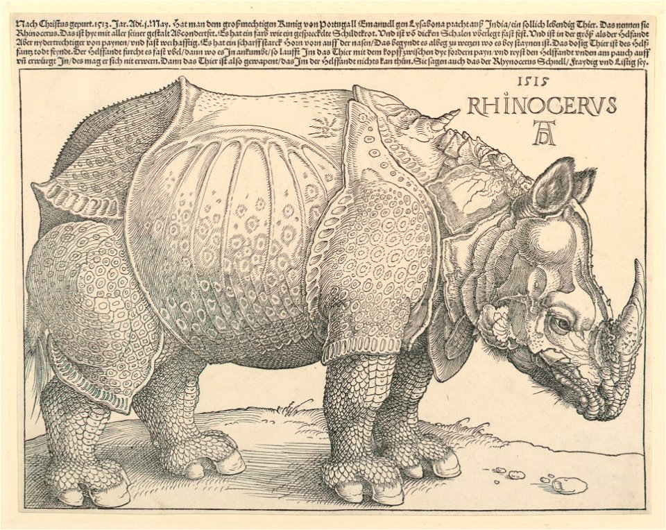 Print, The Rhinoceros, 1515 (CH 18384759-2)