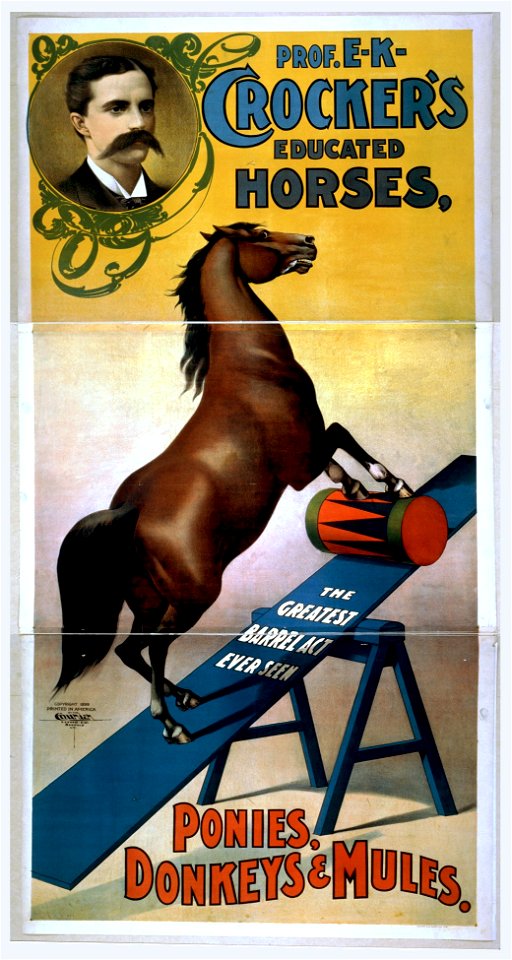 Prof. E.K. Crocker's educated horses, ponies, donkeys & mules LCCN2014637322