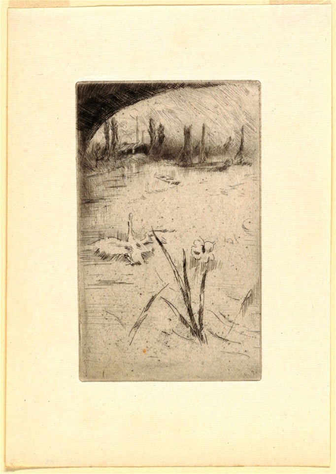 Print, Swan and Iris, 1880–84 (CH 18417695)