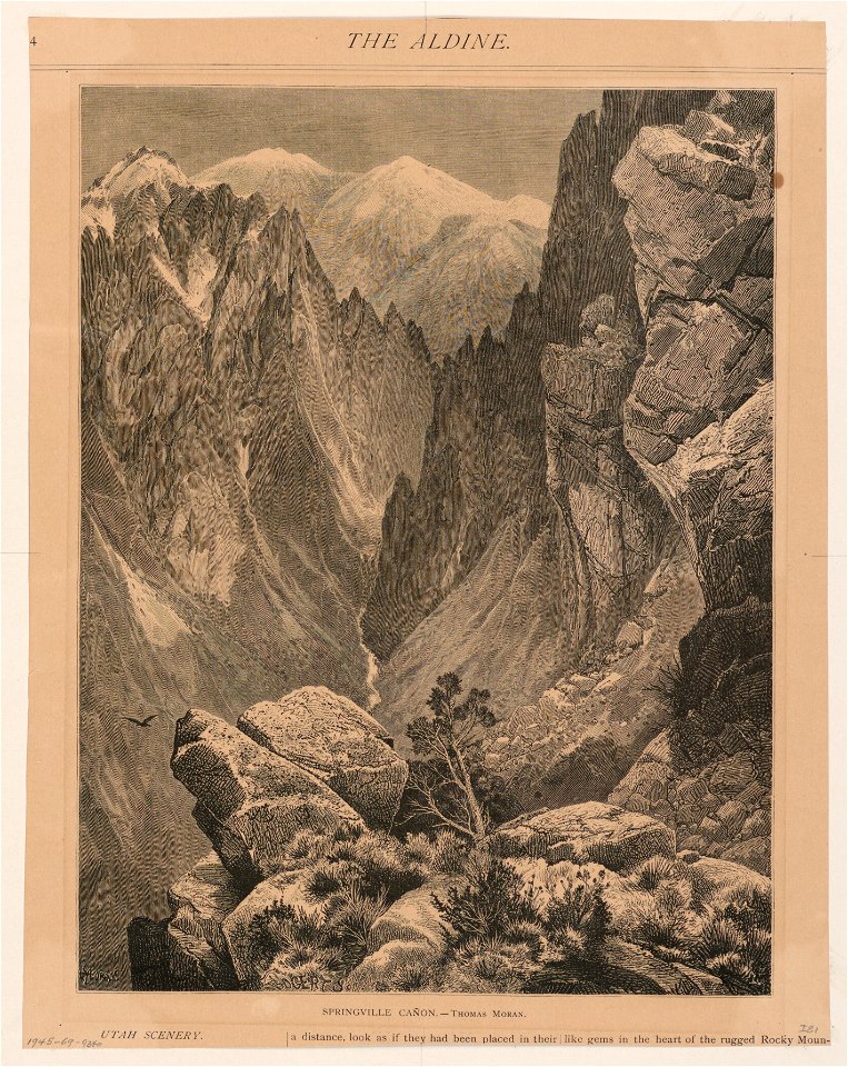 Print, Springville Cañon, January 1874 (CH 18601381)