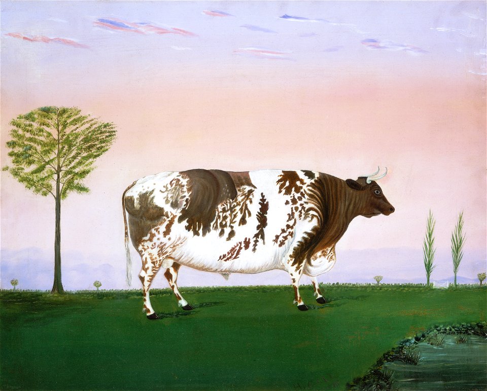 Prize Bull E11433