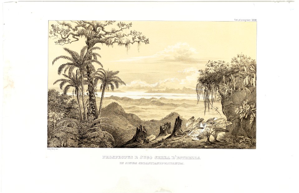 Prospectus e Jugo Serra D’Estrella in Sinum Sebastianopolitanum, da Coleção Brasiliana Iconográfica