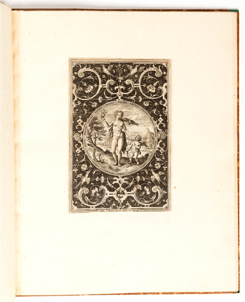 Print, Venus, plate from a suite of 6 ornamental designs with the Judgement of Paris, ca. 1690 (CH 18289579)