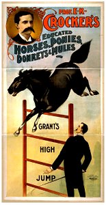 Prof. E.K. Crocker's educated horses, ponies, donkeys & mules LCCN2014637319
