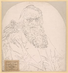 Prof. S.F.B. Morse LCCN2003674702