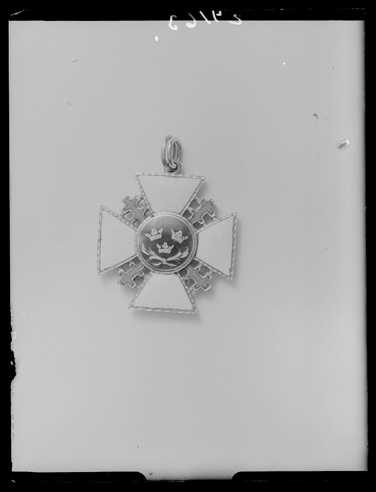 Pro Patria ordenstecken - Livrustkammaren - 53580