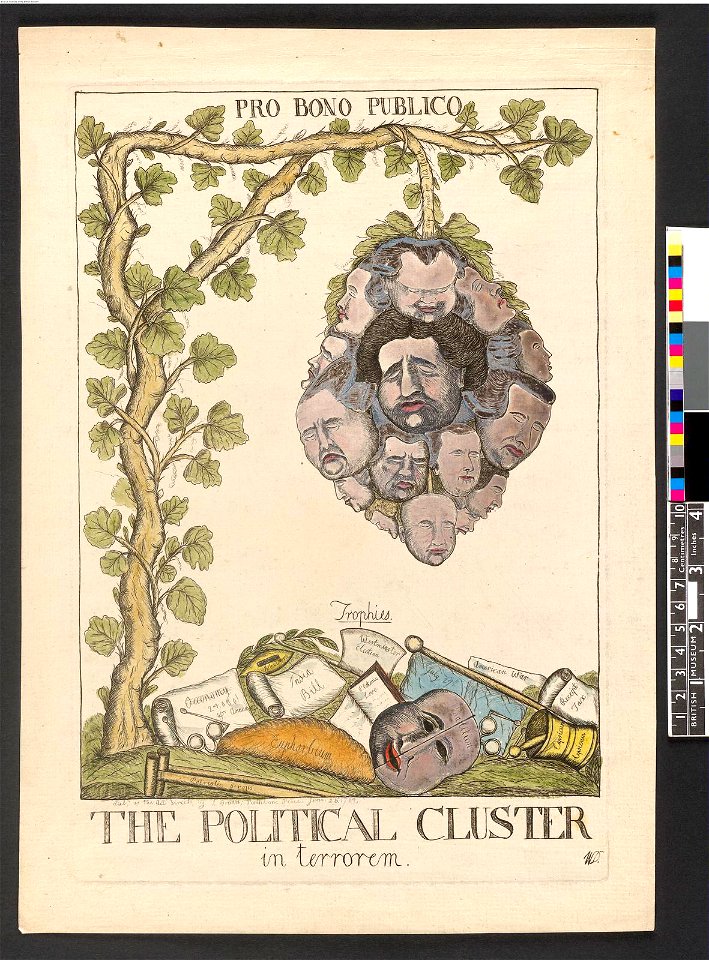 Pro Bono Publico. The Political Cluster in terrorem (BM J,4.73)