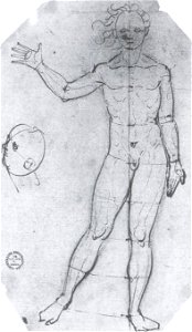 Proportion Study, by Hans Holbein the Younger. Free illustration for personal and commercial use.