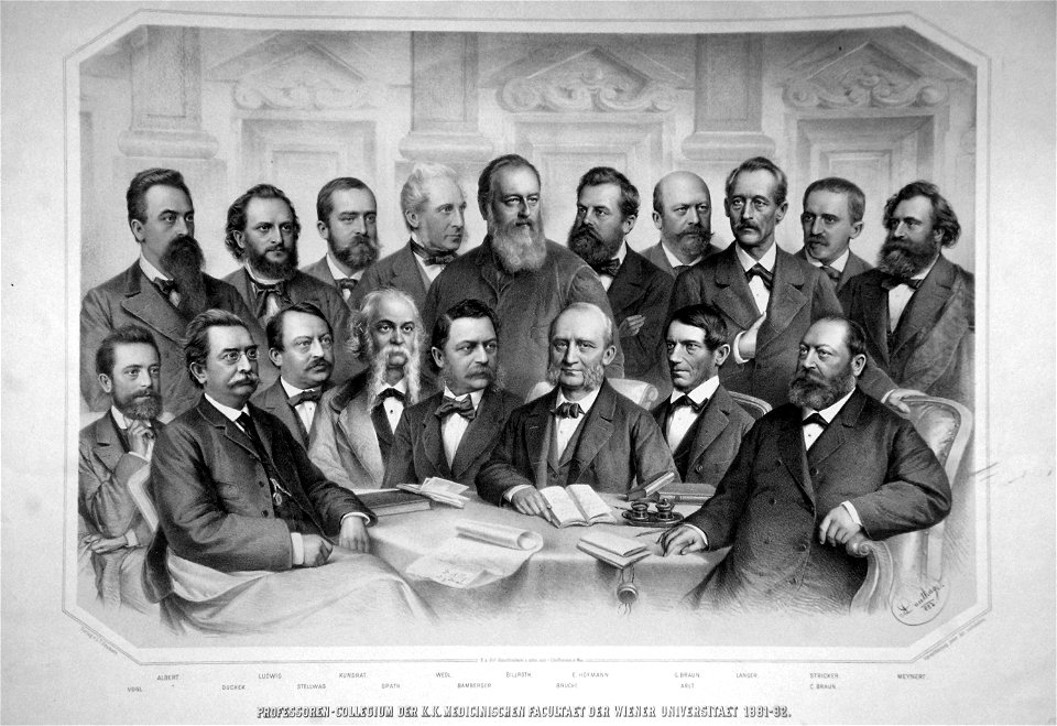 Prof Collegium an der mdizin. Fakultät 1881-1882 Litho