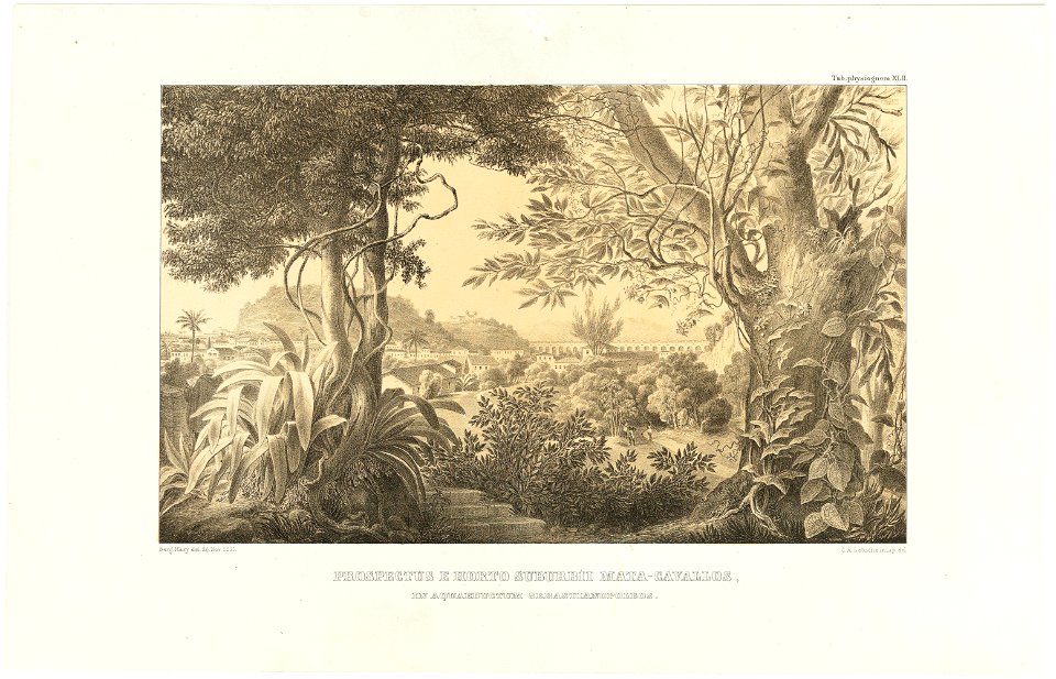 Prospectus e Horto Suburbii Mata-Cavallos, in Aquaeductum Sebastianopoleos, da Coleção Brasiliana Iconográfica