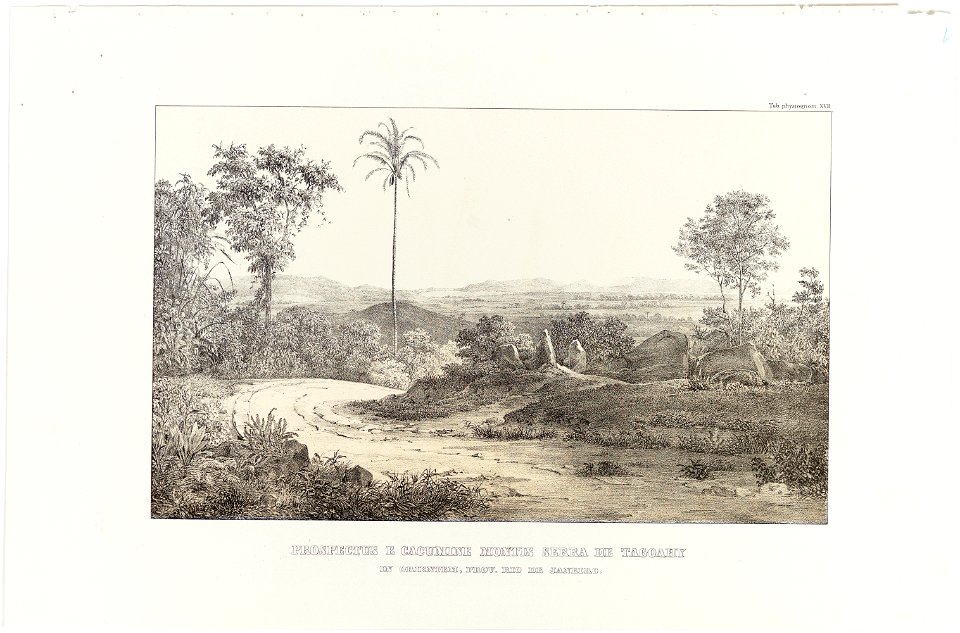 Prospectus e Cacumine Montis Serra de Tagoahy in Orientem, Prov. Rio de Janeiro, da Coleção Brasiliana Iconográfica