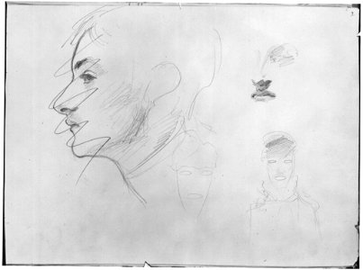 Profile of Madame Gautreau (Harvard)
