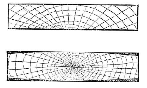 PSM V02 D606 Cross section of dried lumber 2