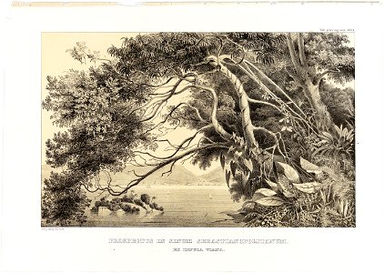 Prospectus in Sinum Sebastianopolitanum ex Insula Viana, da Coleção Brasiliana Iconográfica