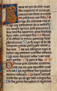 Psalterium Feriatum Cod Don 309 099