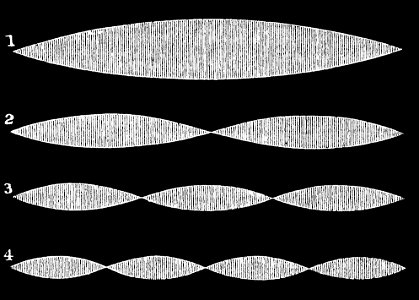 PSM V03 D012 Vibration phases