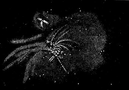 PSM V03 D140 The great nebula in orion 1