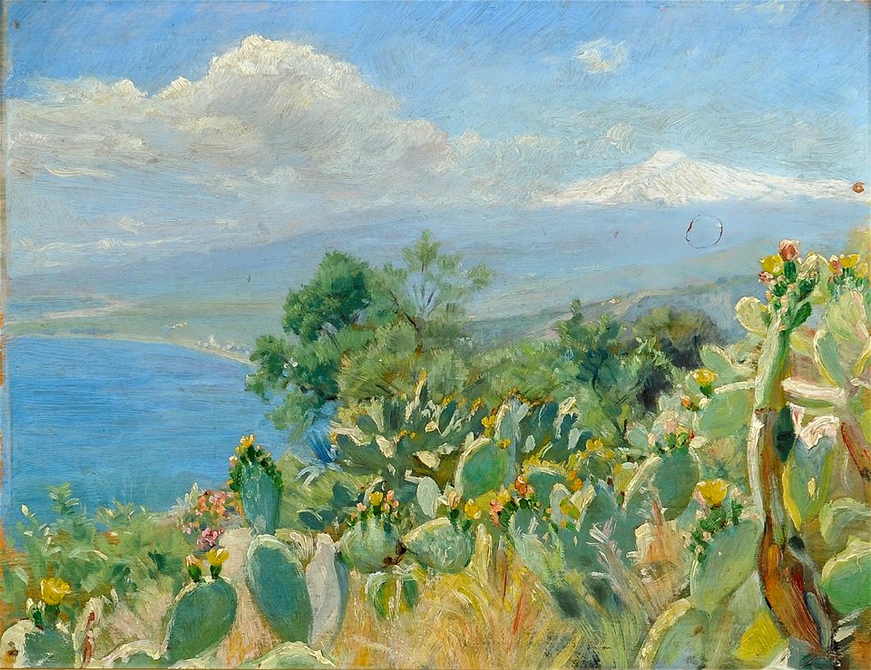 PSKroyer Blomstrende Kaktus