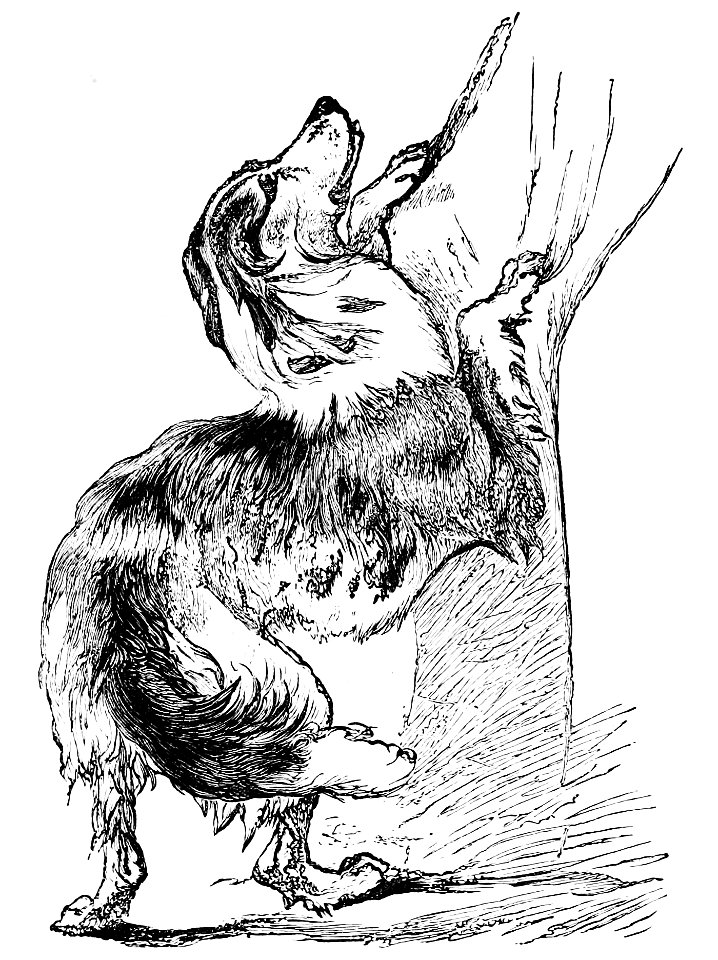 PSM V02 D457 Caressing dog