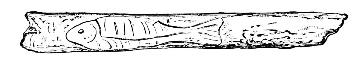 PSM V02 D723 Horn drawing
