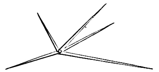 PSM V03 D557 United spicules in pheronema
