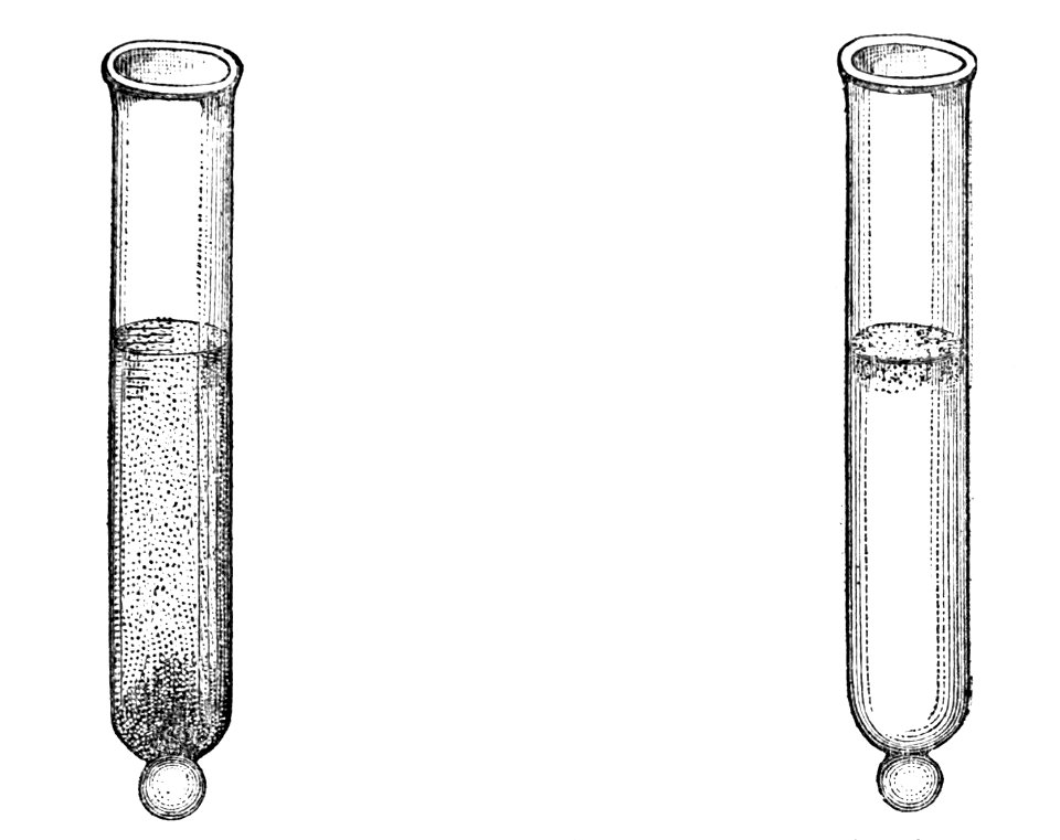 PSM V04 D215 Red water and infusoria