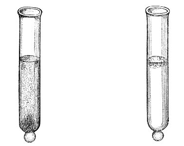 PSM V04 D215 Red water and infusoria