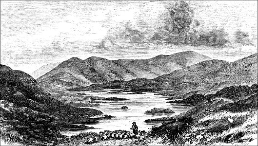 PSM V04 D675 Lower reach of loch doon