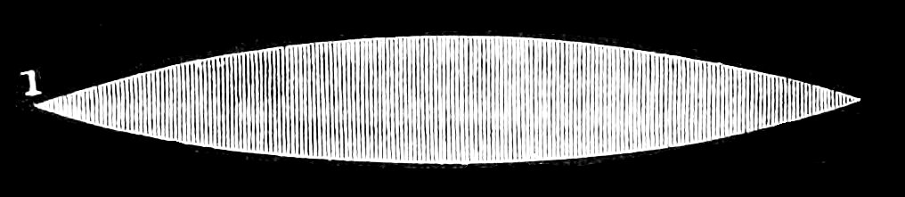 PSM V13 D054 Sound vibration