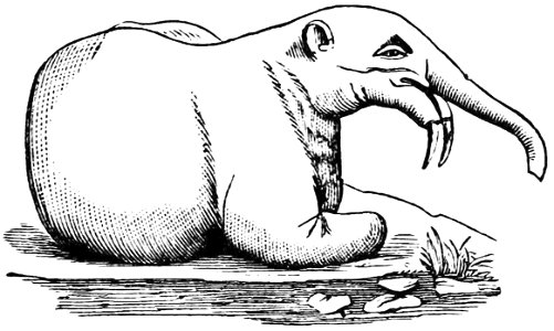 PSM V21 D511 Restoration of dinotherium