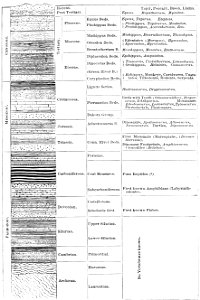 PSM V12 D530 Earth crust table