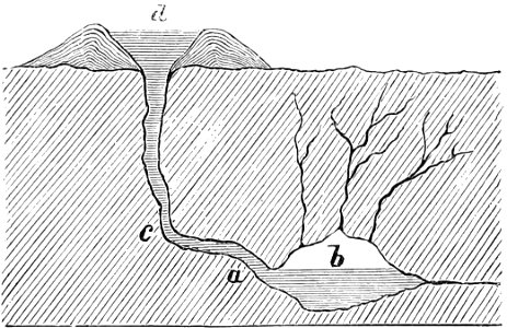 PSM V12 D429 Mackenzie theory of eruption