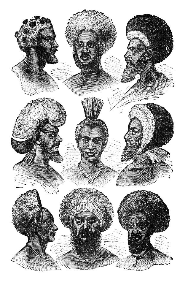 PSM V05 D544 Fijian hair dressing modes