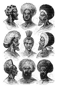 PSM V05 D544 Fijian hair dressing modes