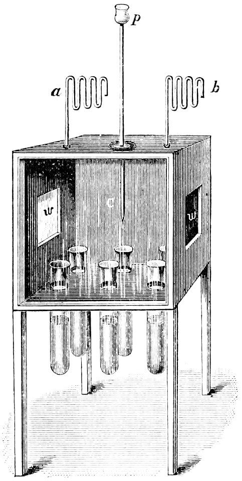 PSM V12 D611 Biological spontaneous generation experiment