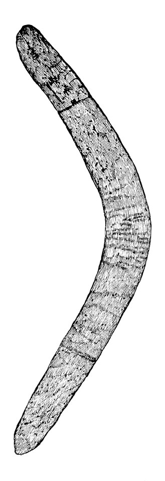 PSM V05 D540 Boomerang